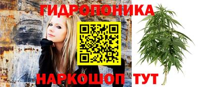 эйфоретик Ирбит