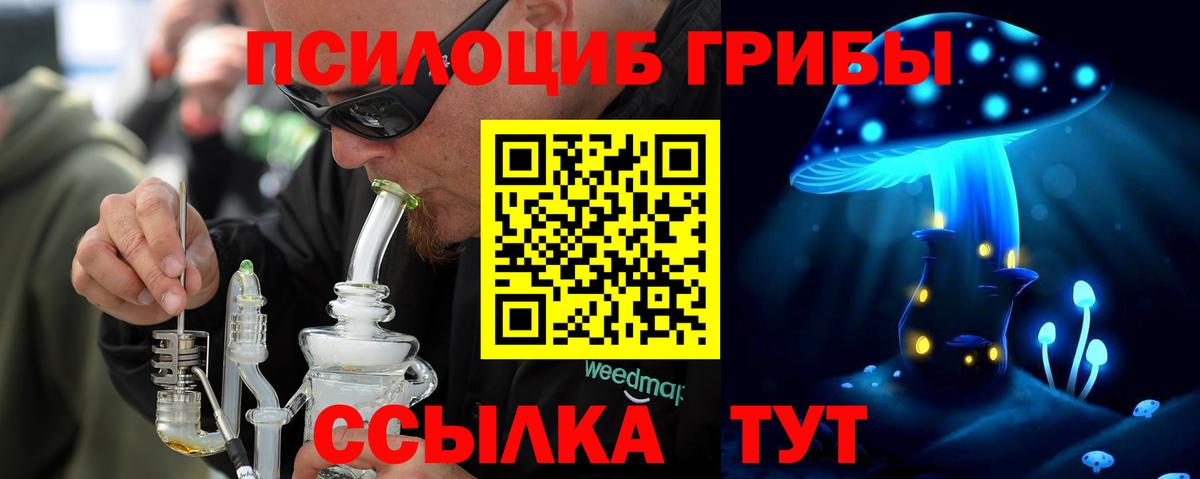 Кострома  Псилоцибиновые грибы мухоморы  Вход с VPN 